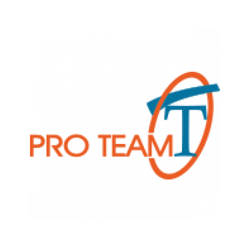 Pro Team logo